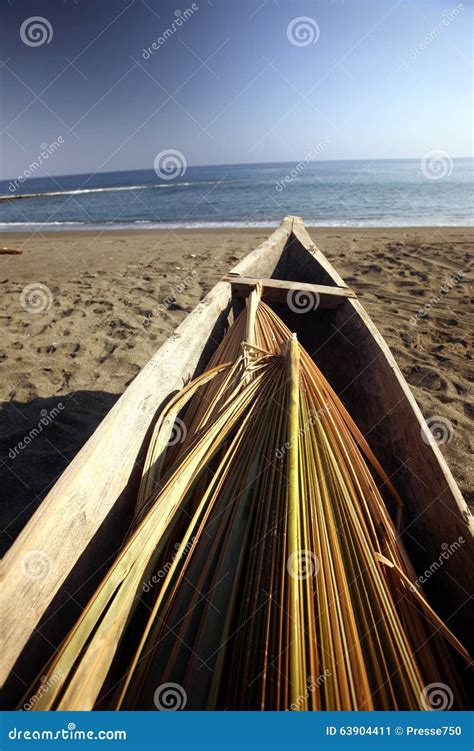 Beach Bums Betano