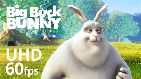 Big Buck Bunny bet365