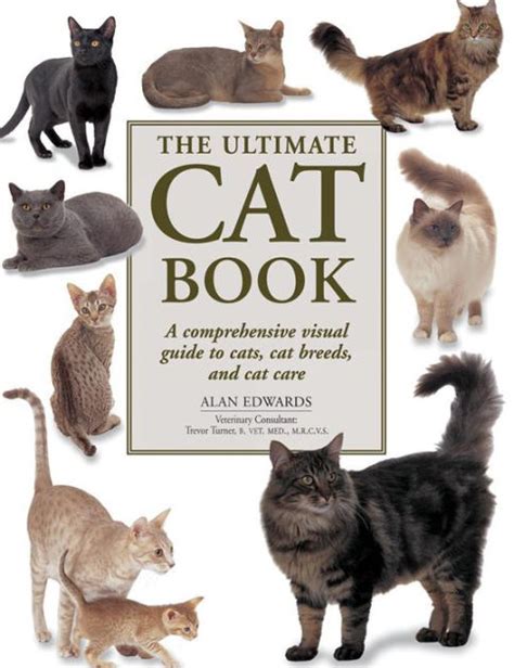 Book Of Cats Parimatch