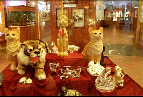 Cat Museum brabet