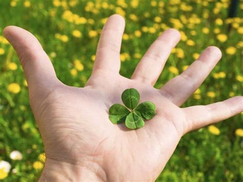 Clovers Of Luck betsul