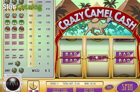 Crazy Camel Cash Review 2024