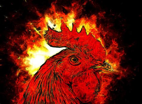 Fire Rooster Bodog