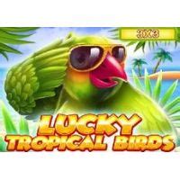 Lucky Tropical Birds 3x3 Betway