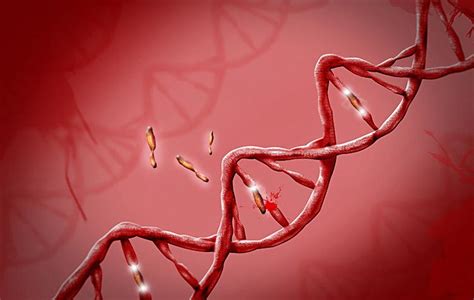 Roleta genética a aposta em nossas vidas