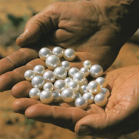Sea Of Pearls brabet