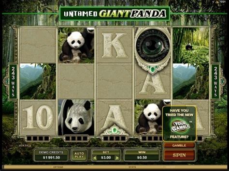 Untamed Giant Panda Betfair