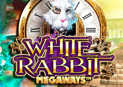 White rabbit casino Dominican Republic
